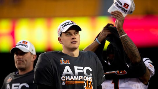 Cincinnati Bengals: What Would Make 2024 A Success? (NFL)