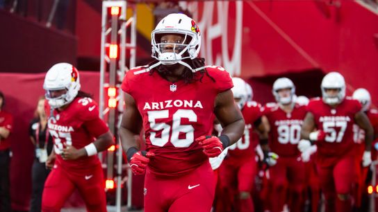 What Should Cardinals Fans Expect From Darius Robinson? (NFL)